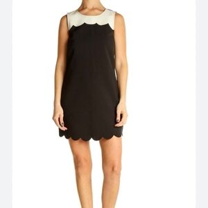 J. CREW SZ 14 BLACK CREAM scallop.hem collar dress